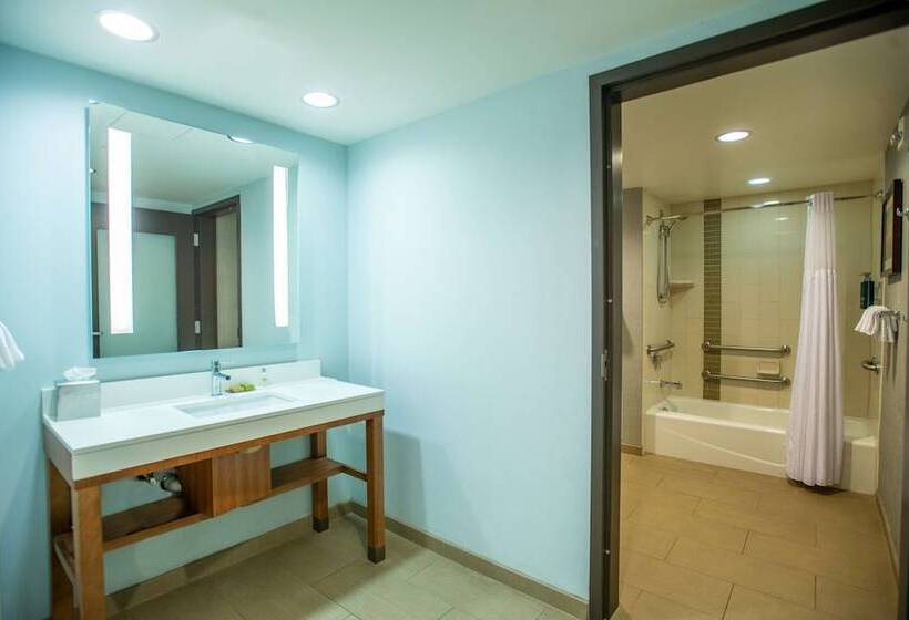 适合残疾人士使用的套间, Doubletree By Hilton Asheville Downtown