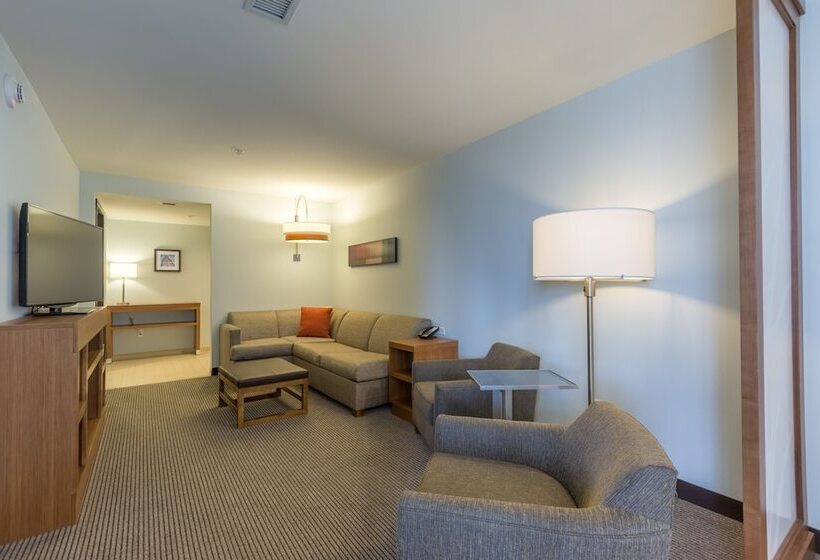 适合残疾人士使用的套间, Doubletree By Hilton Asheville Downtown