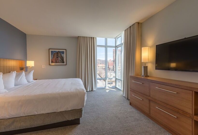 适合残疾人士使用的套间, Doubletree By Hilton Asheville Downtown