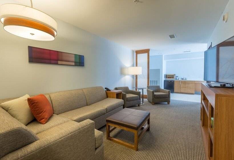 适合残疾人士使用的套间, Doubletree By Hilton Asheville Downtown