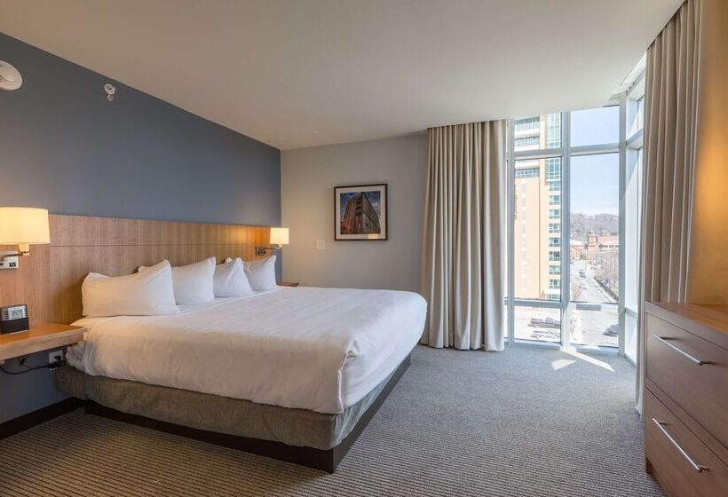 适合残疾人士使用的套间, Doubletree By Hilton Asheville Downtown