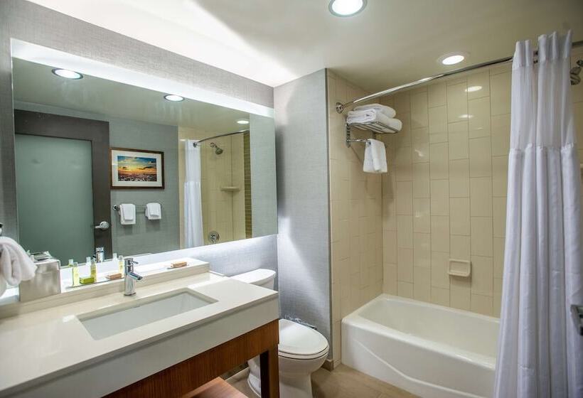 带2个双人床的标准工作室, Doubletree By Hilton Asheville Downtown