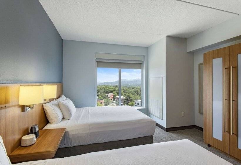 带2个双人床的标准工作室, Doubletree By Hilton Asheville Downtown