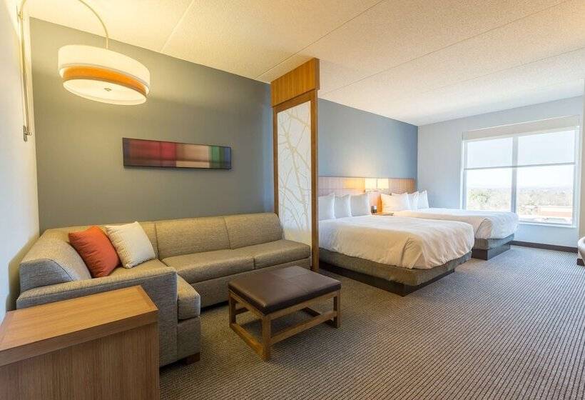 带2个双人床的标准工作室, Doubletree By Hilton Asheville Downtown