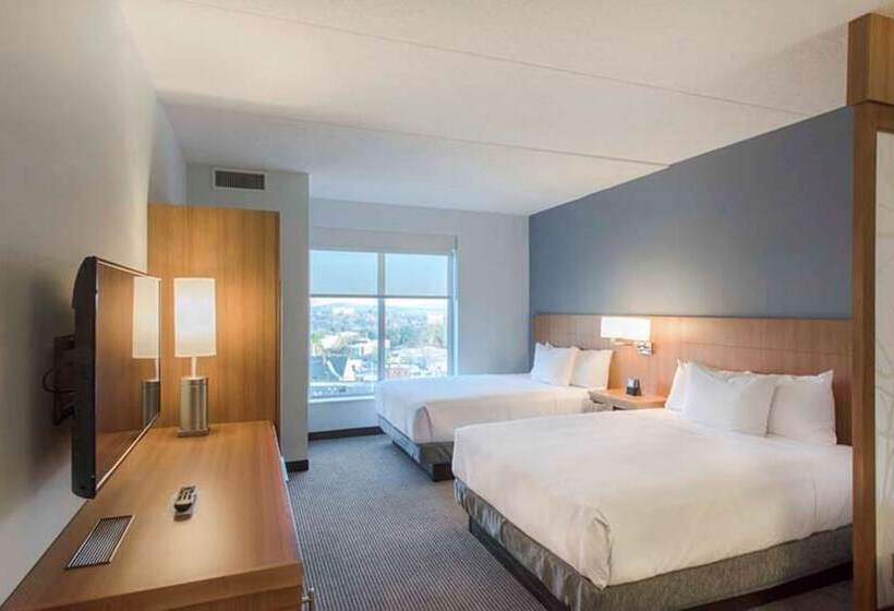 带2个双人床的标准工作室, Doubletree By Hilton Asheville Downtown