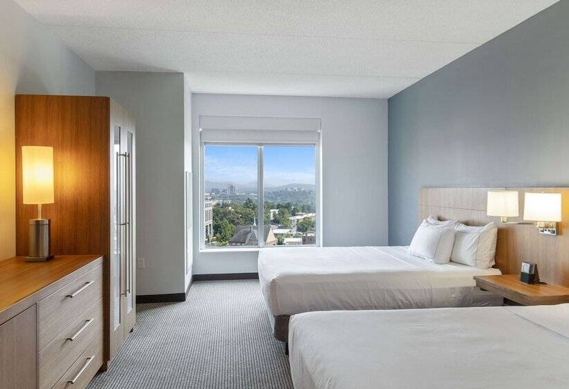 带2个双人床的标准工作室, Doubletree By Hilton Asheville Downtown