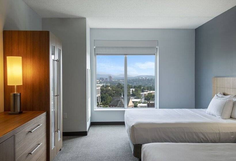 带2个双人床的标准工作室, Doubletree By Hilton Asheville Downtown