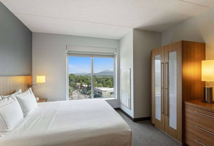 标准间带双人床, Doubletree By Hilton Asheville Downtown