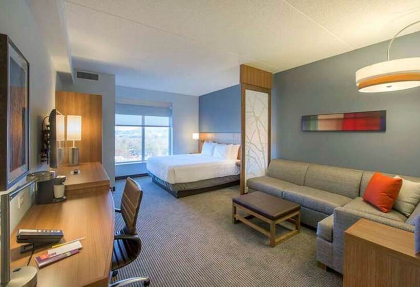 标准间带双人床, Doubletree By Hilton Asheville Downtown