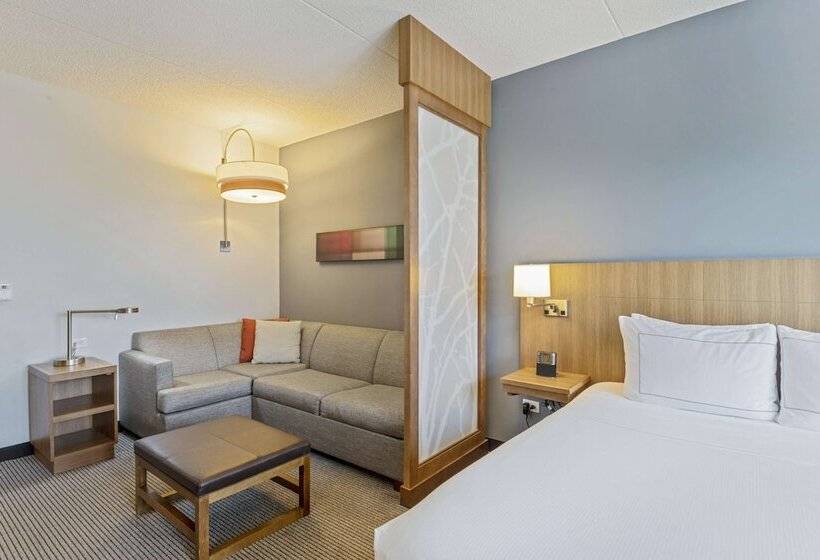 适合残疾人士使用的带双人床的标准间, Doubletree By Hilton Asheville Downtown