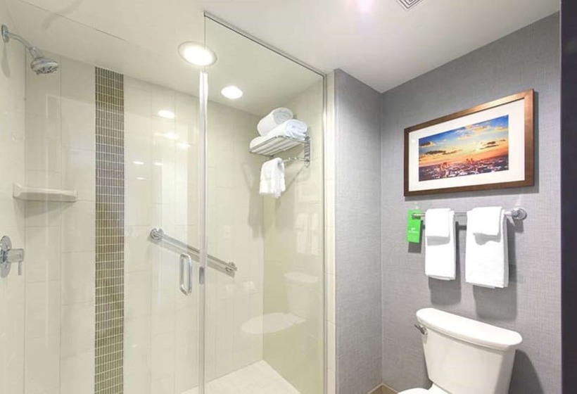 适合残疾人士使用的带双人床的标准间, Doubletree By Hilton Asheville Downtown