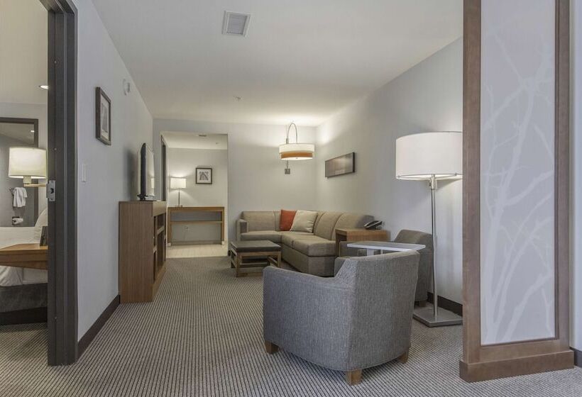 适合残疾人士使用的套间, Doubletree By Hilton Asheville Downtown