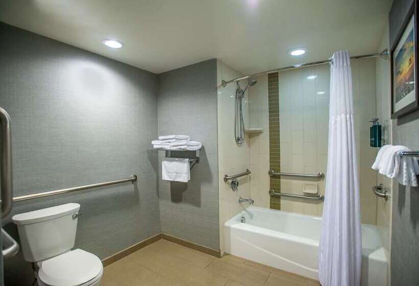 标准间, Doubletree By Hilton Asheville Downtown