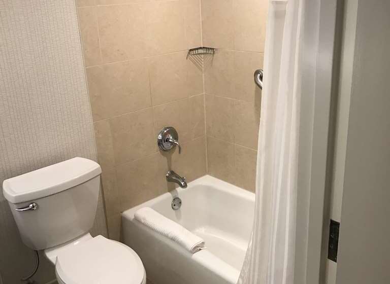 带特大床的标准间, Doubletree By Hilton Asheville Downtown