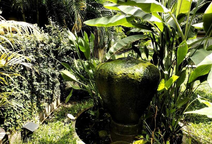 スーペリアールーム, Rice Barn And Rooms