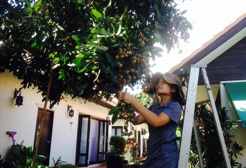 スーペリアールーム, Rice Barn And Rooms