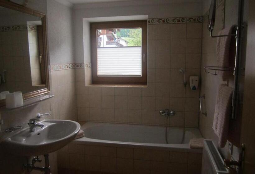 高级大房间, Schneeberger