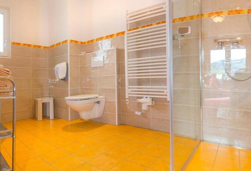 高级大房间, Schneeberger