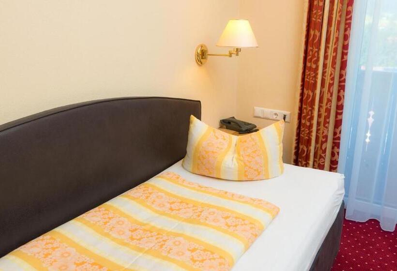 舒适型单人间, Schneeberger