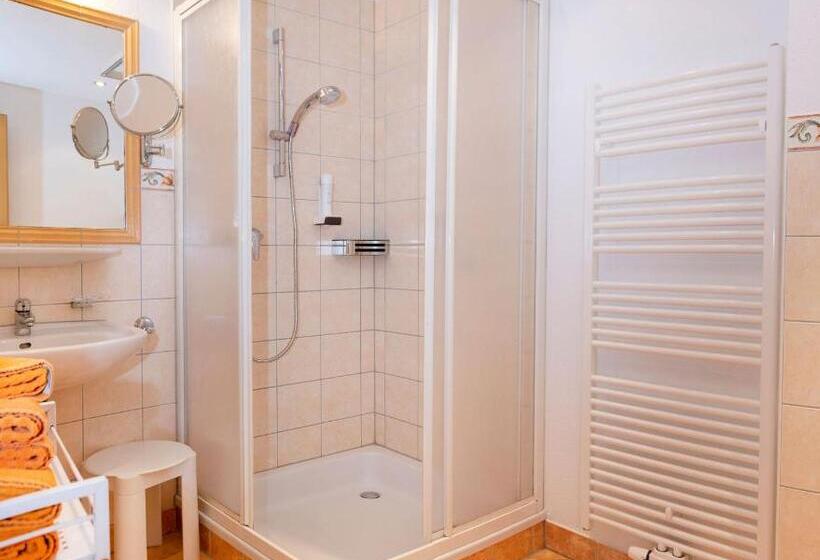 高级大房间, Schneeberger