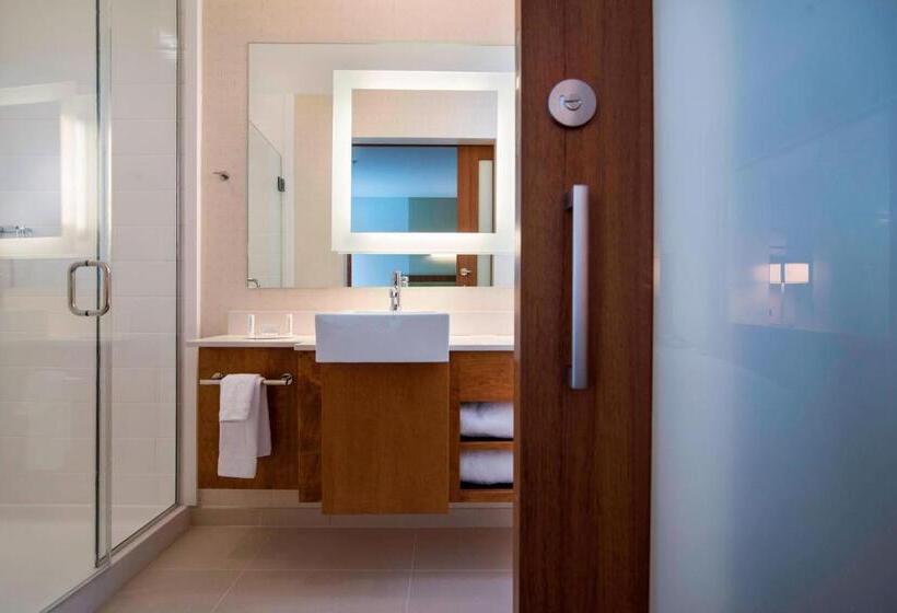 Люкс Повышенной Комфортности, Springhill Suites By Marriott Wisconsin Dells