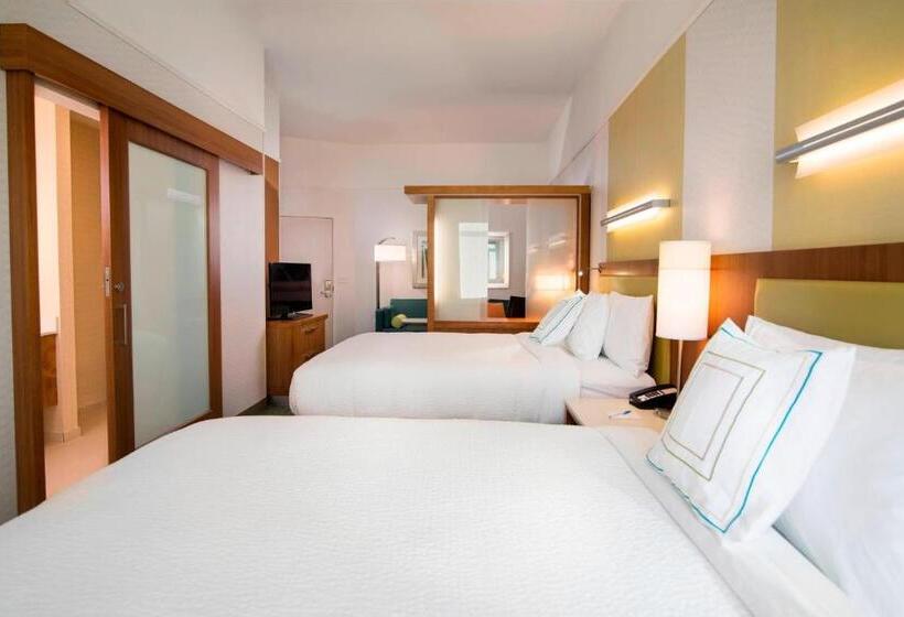 豪华套房, Springhill Suites By Marriott Wisconsin Dells