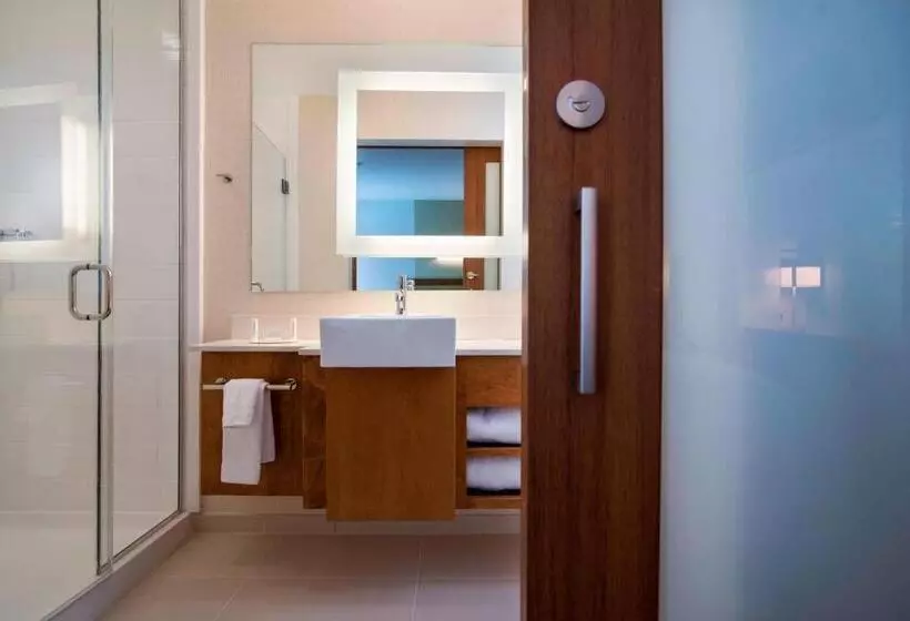 キングサイズベッドのデラックススイート, Springhill Suites By Marriott Wisconsin Dells