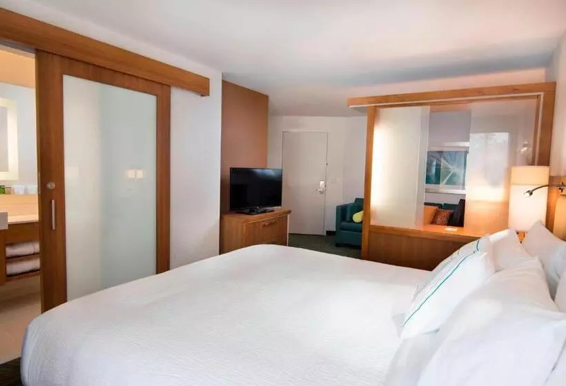 キングサイズベッドのデラックススイート, Springhill Suites By Marriott Wisconsin Dells