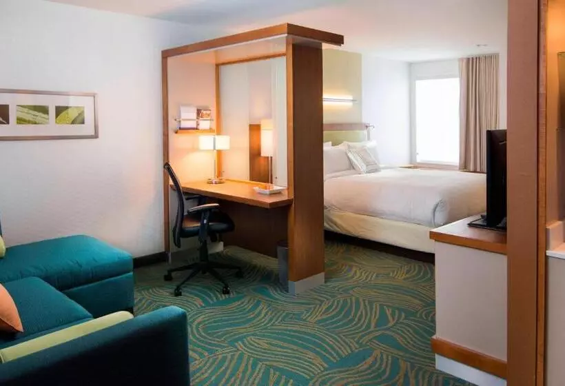 キングサイズベッドのデラックススイート, Springhill Suites By Marriott Wisconsin Dells