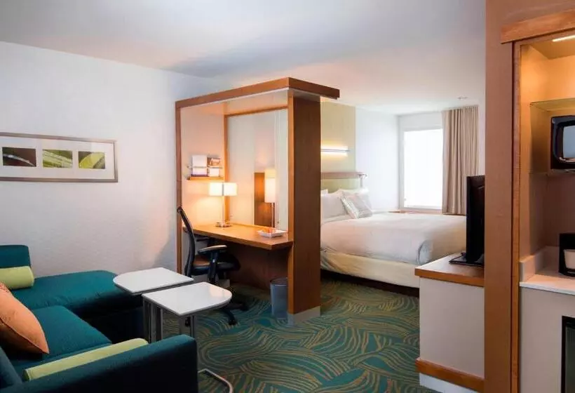 キングサイズベッドのデラックススイート, Springhill Suites By Marriott Wisconsin Dells