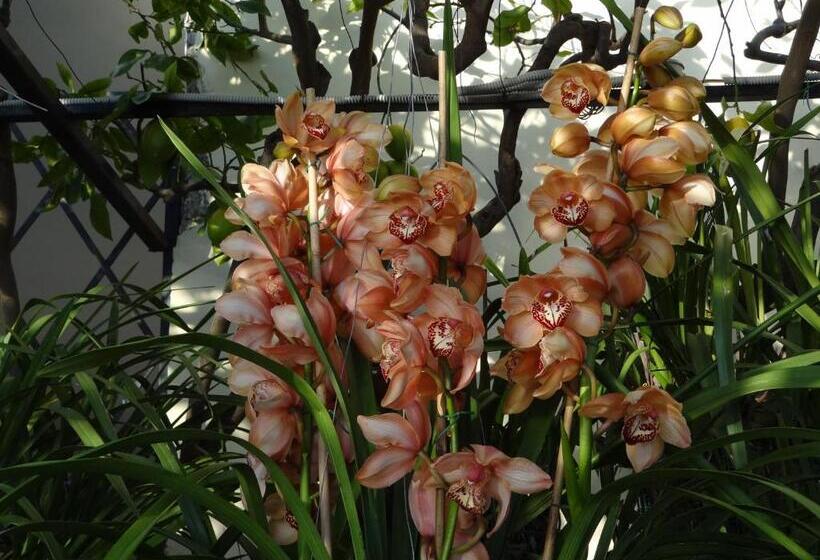 带海景的复工套房, Villa Magia