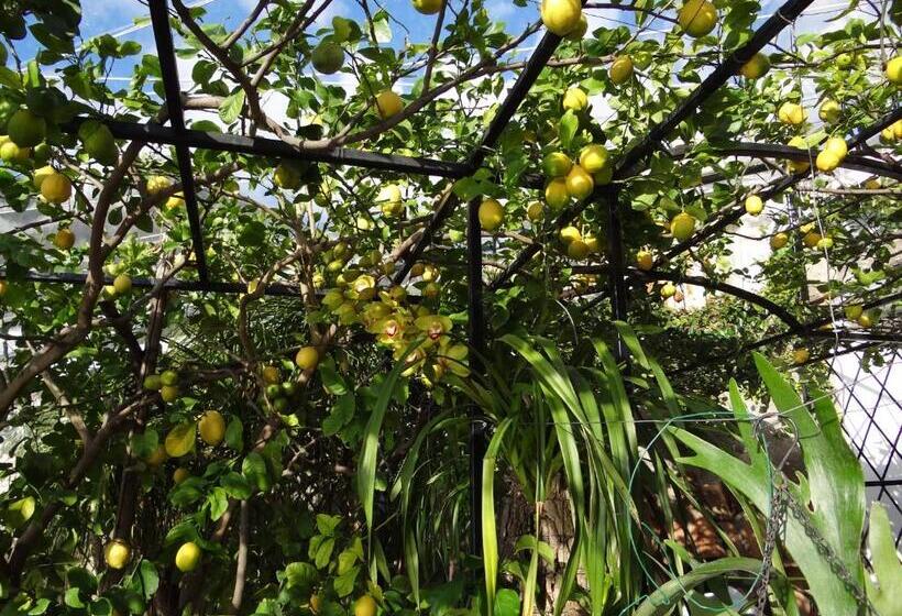 带海景的复工套房, Villa Magia