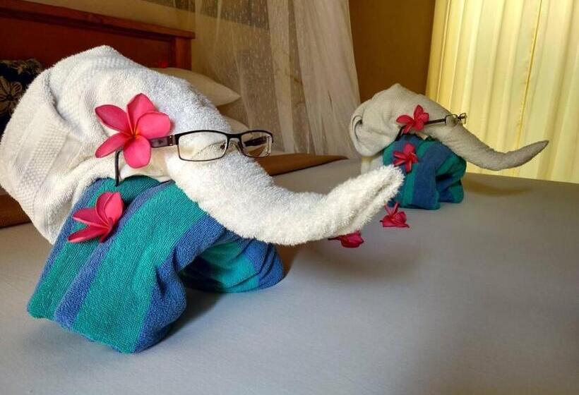 スタンダードバンガロー, Bedolo Bungalows