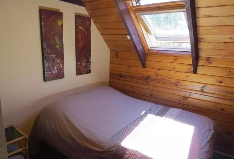 Standard-huone Jaettu Kylpyhuone, Hanmer Backpackers