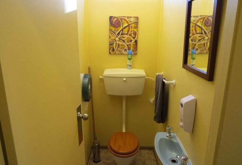 Номер Стандарт, Hanmer Backpackers