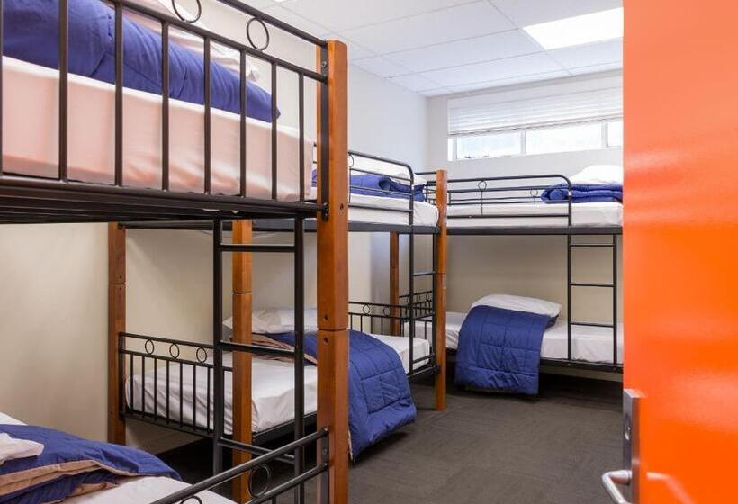 共用房间的床, Trek Global Backpackers