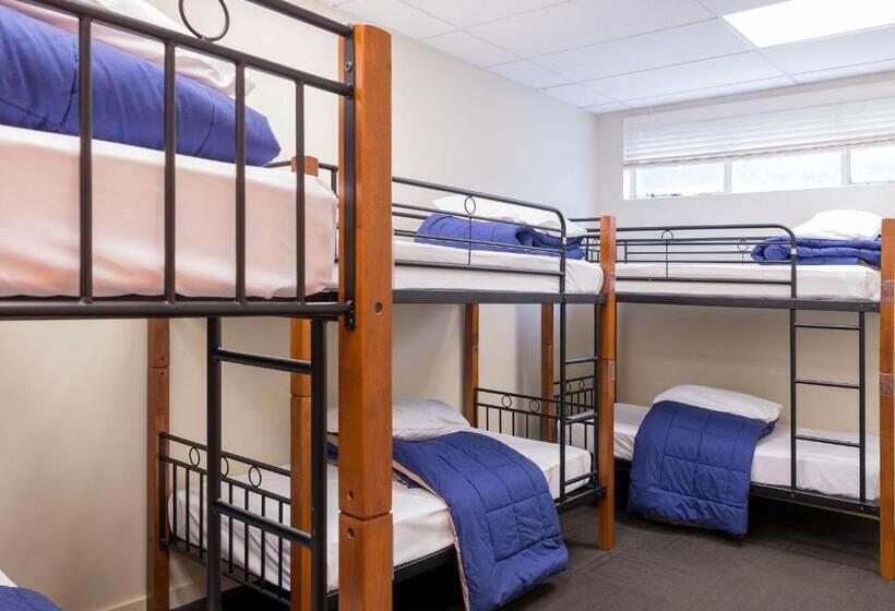 共用房间的床, Trek Global Backpackers