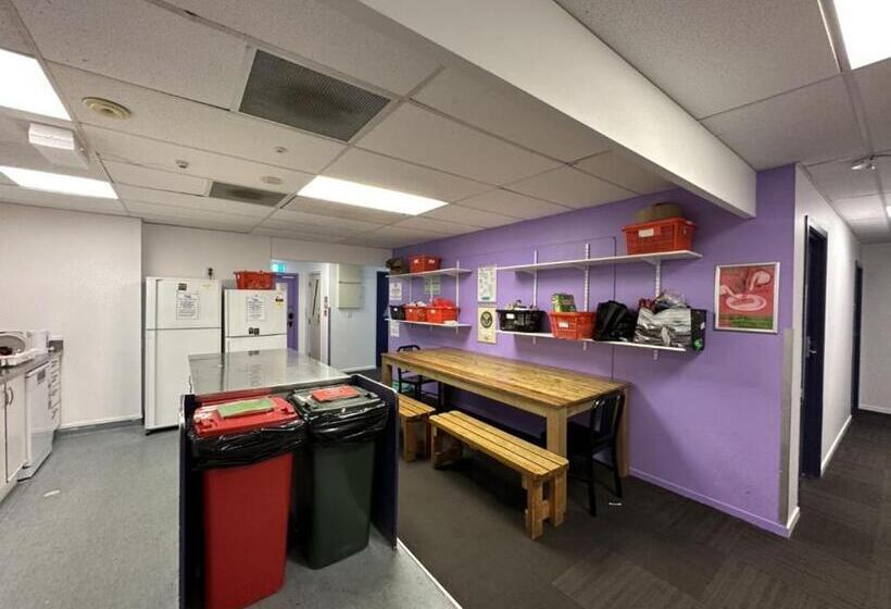 标准单人间, Trek Global Backpackers