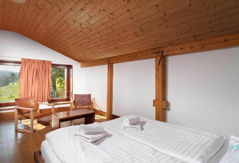Suite 2 Dormitoare, Adam