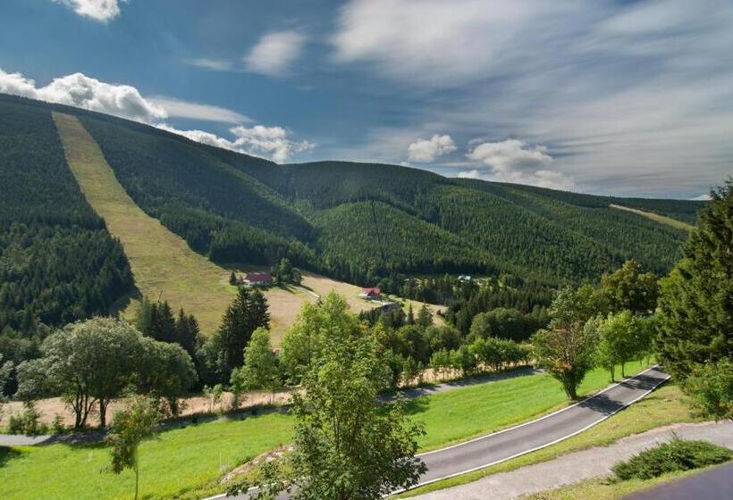 اتاق استاندارد با چشمانداز کوهستان, Adam