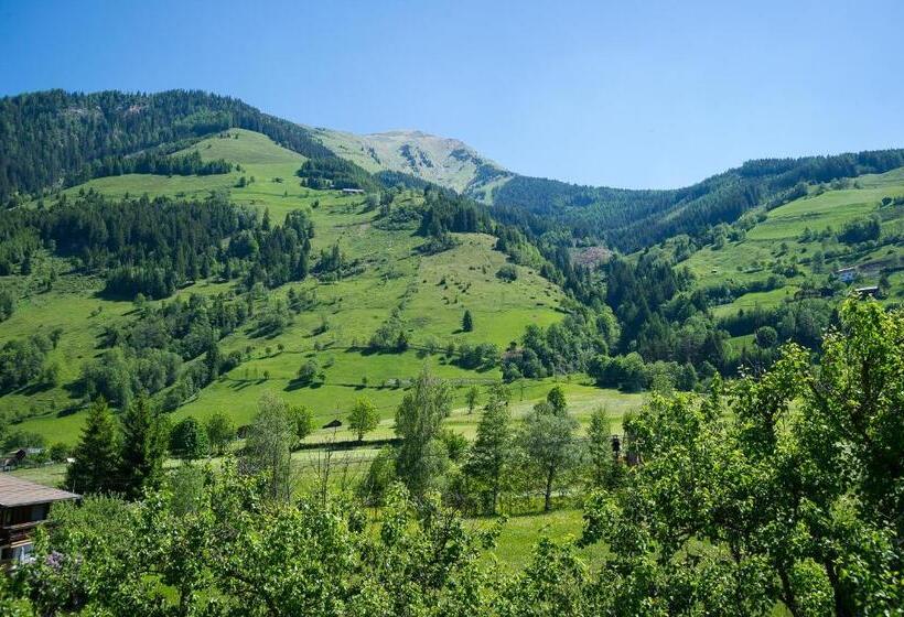 اتاق استاندارد سه نفره, Alpina