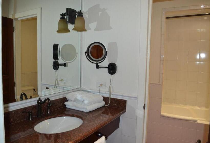 اتاق پرمیوم, Isla De Flores