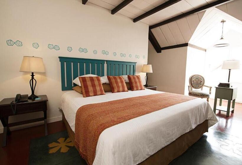 سوییت جونیور, Isla De Flores