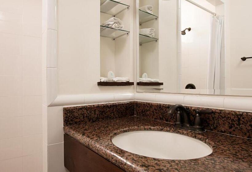 اتاق پرمیوم, Isla De Flores