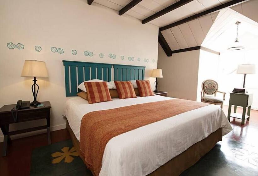 سوییت جونیور, Isla De Flores