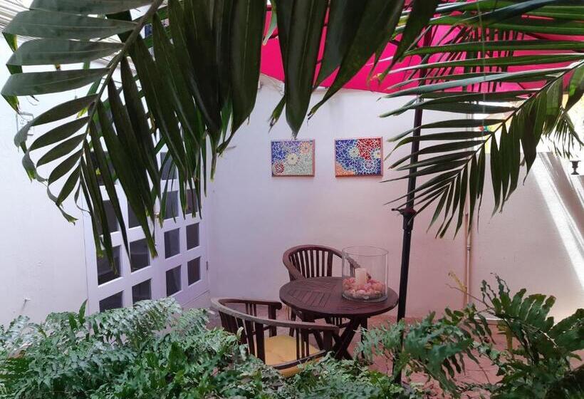 اتاق استاندارد با تخت بزرگ, Wonders Boutique