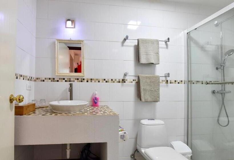 اتاق استاندارد با تخت بزرگ, Wonders Boutique