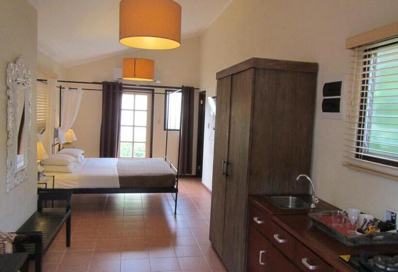 اتاق سوپریور با تخت بزرگ, Wonders Boutique