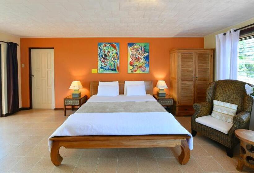 اتاق سوپریور با تخت بزرگ, Wonders Boutique