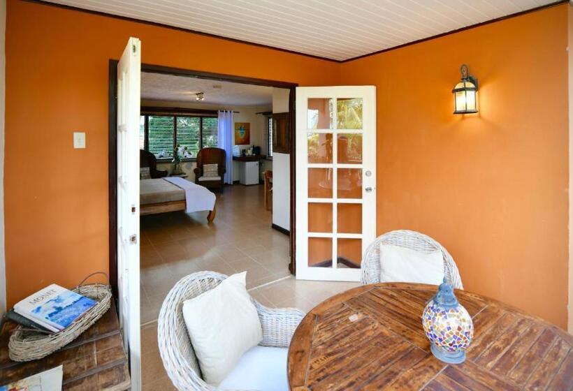 اتاق سوپریور با تخت بزرگ, Wonders Boutique